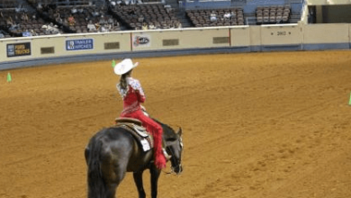 What are the main judging criteria in barrel racing competitions?