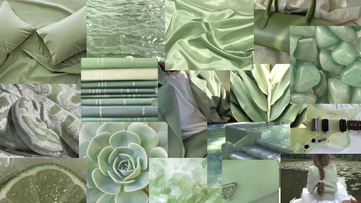 Aesthetic:photos= Sage Green