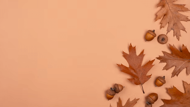 Aesthetic:2u-Bqxoije0= Cute Fall Wallpaper