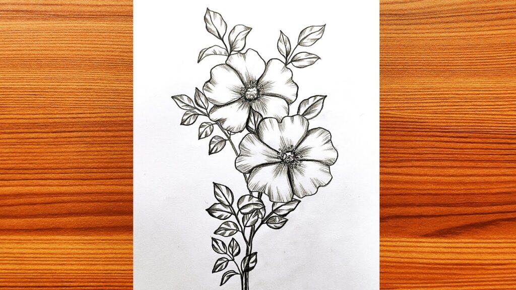 Art:6g-Kelv5ev0= Flower Drawing