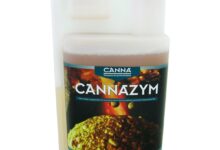 Cannazym