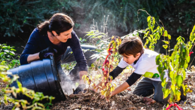 The Environmental and Legal Risks of Ignoring Invasive Plants