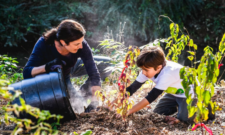 The Environmental and Legal Risks of Ignoring Invasive Plants
