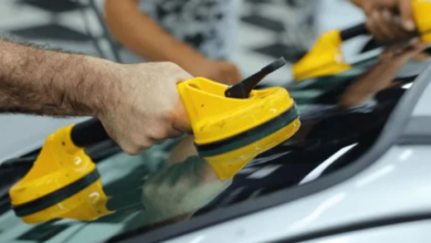 What Are Suction Cups Used For? Understanding Their Function and Benefits