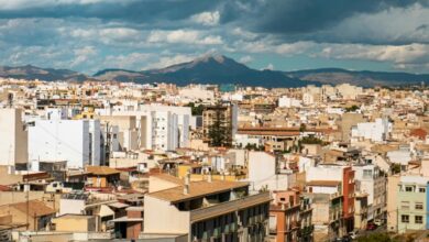 dataset overview for ids