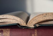 executive intelligence report summary