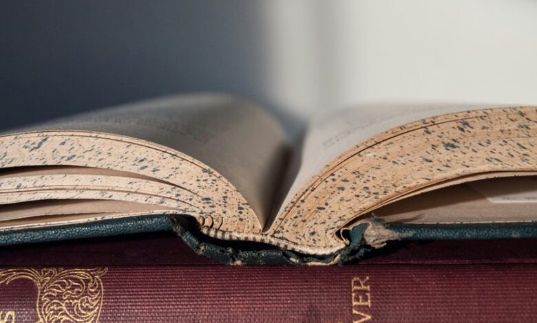 executive intelligence report summary