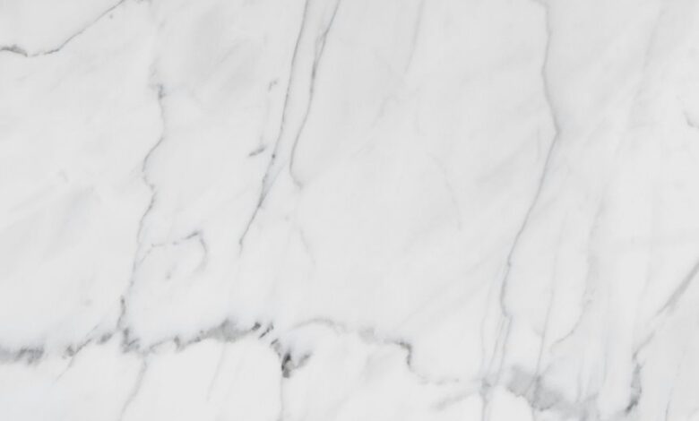 premium industry outlook analysis