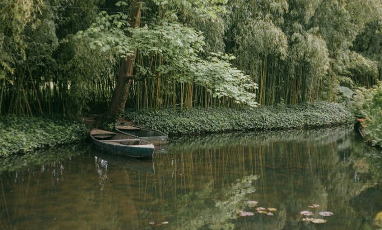 digital monetization revenue engine