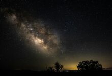 lead quality conversion success