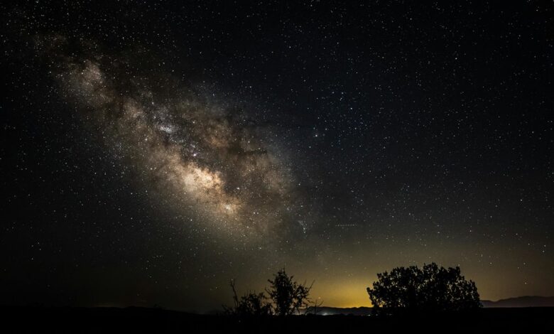 lead quality conversion success