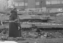 search impact growth model