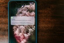 alert on phone risks