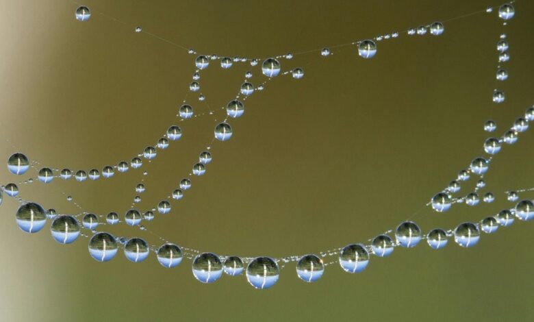 hypernova circuit opportunity rise