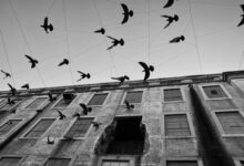 infinity arc momentum analysis