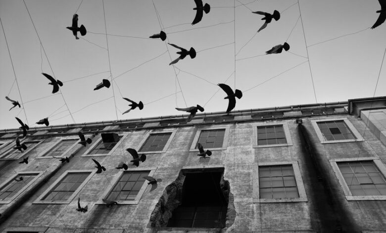 infinity arc momentum analysis