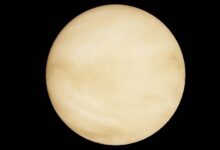 polaris orbit dynamic path