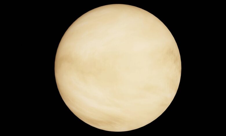 polaris orbit dynamic path