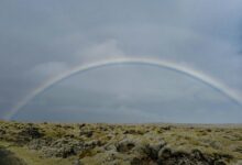 horizon arc start driving digital identifier discovery