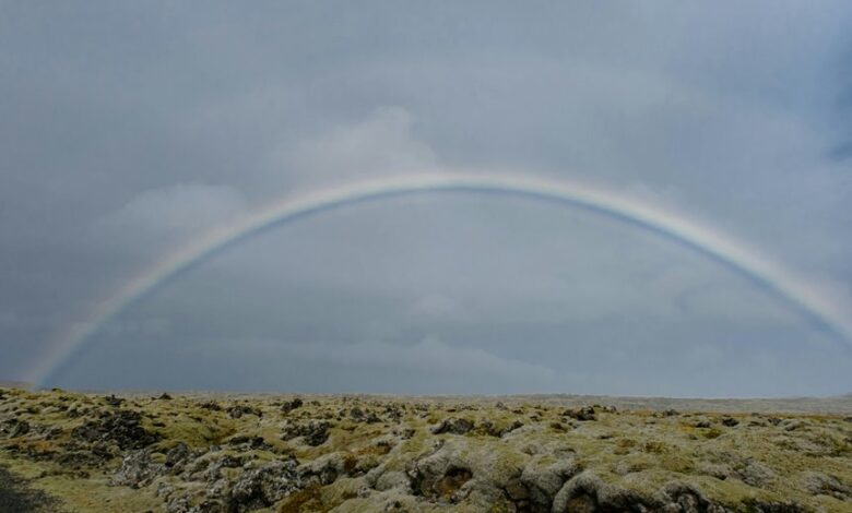 horizon arc start driving digital identifier discovery