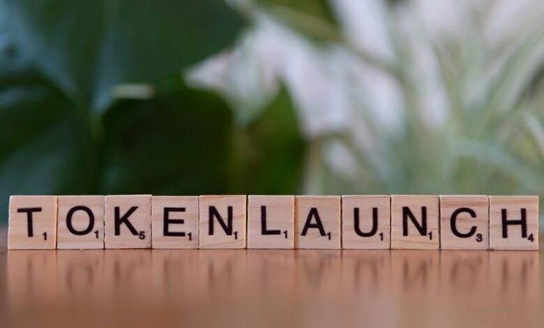 momentum gateway start inspiring token tracking