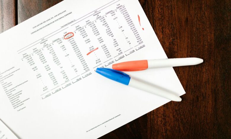final data audit details summary