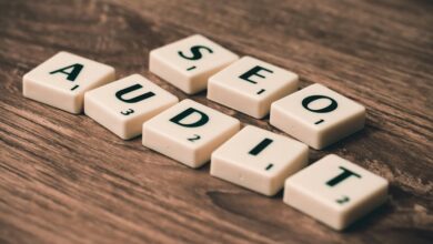 incoming record audit entities and ids