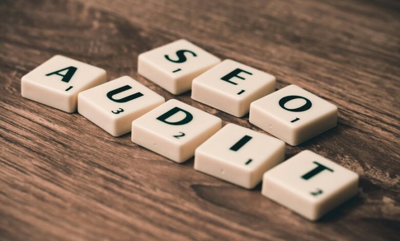 incoming record audit wordpress backlink checker