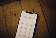 phone numbers for validation task
