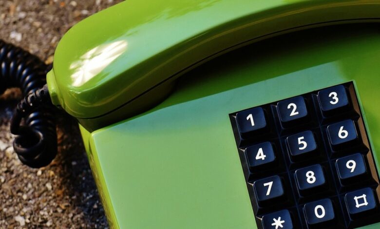 phone numbers listed for user record validation