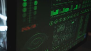 system data ip and ids