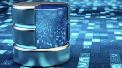Emerging Trends in Data Management