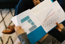 access verified registry reports for listed feins