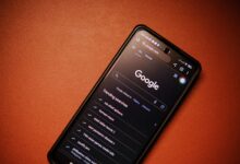 phone numbers and identity search results