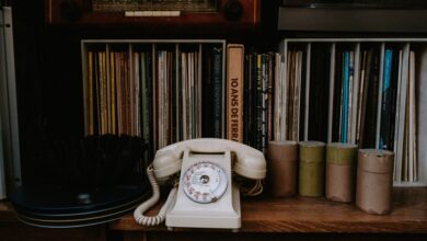 phone numbers list identity records
