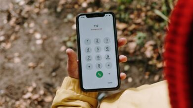 phone numbers verified successfully