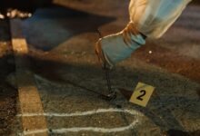 public number evidence ids list