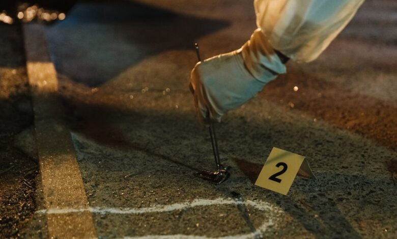 public number evidence ids list