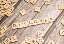 registered lookup entries ids listed for review