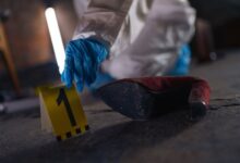 registry evidence for listed ids