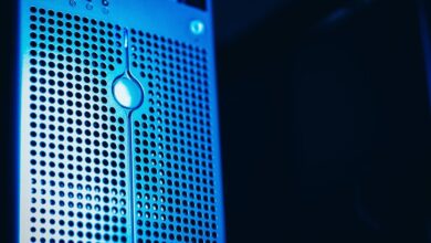 registry lookup for specific ids