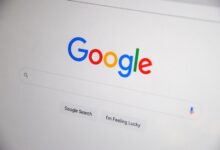 registry search results for listed numbers