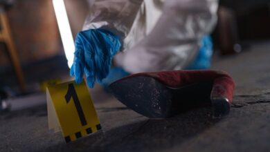 verified registry evidence ids 3510727358 3701128978 3270639688 3533837149 3792578697